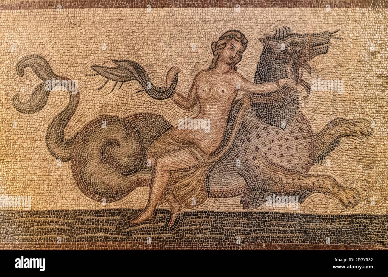 Mosaico con Nereid a cavallo di un hippopotamus da Kos, 3rd ° secolo, Grand Masters Palace costruito nel 14th ° secolo dall'ordine Johnnita, fortezza e. Foto Stock