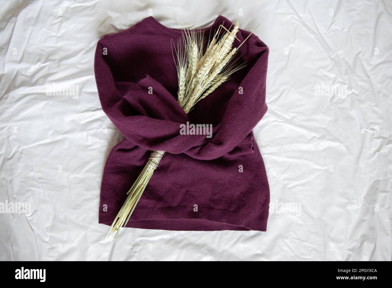 il maglione di lana rossa da donna con un bouquet di spikelets di grano si trova su uno sfondo chiaro e rumpled Foto Stock