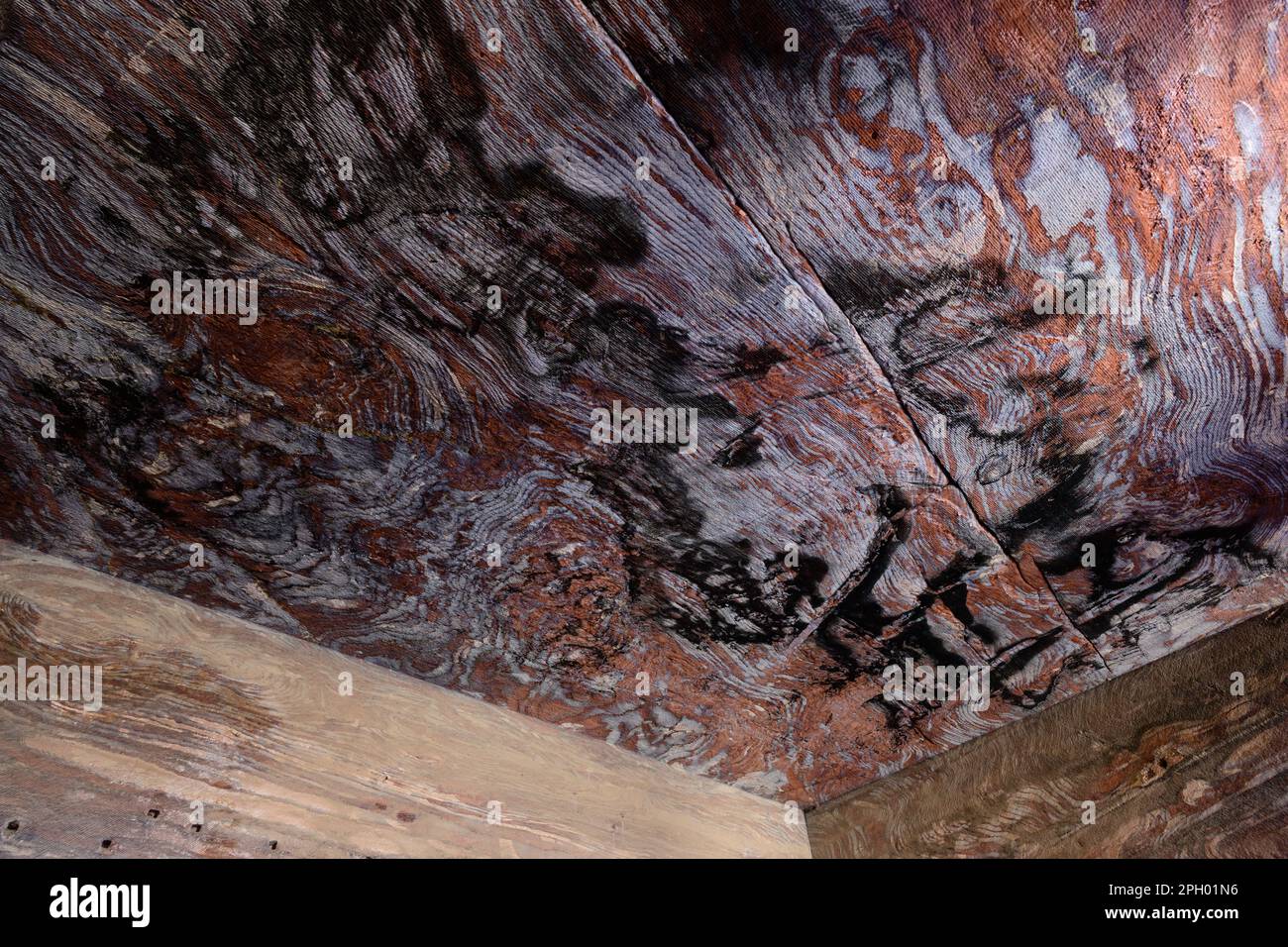All'interno della tomba di Urn soffitto interno di roccia colorato interno a Petra, Giordania, chiamato anche tomba reale di Malchus Foto Stock