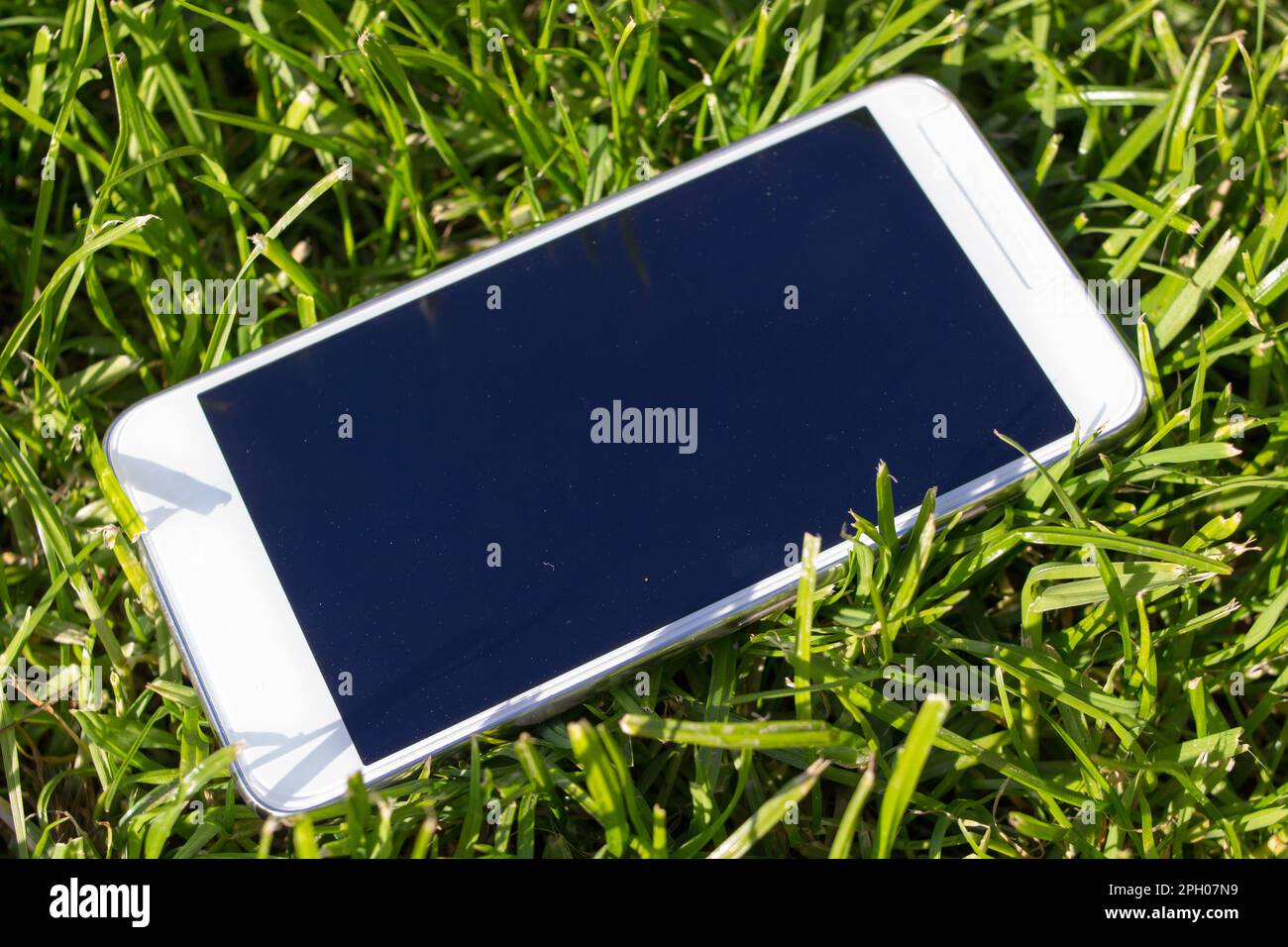 smartphone bianco perso sull'erba in estate Foto Stock