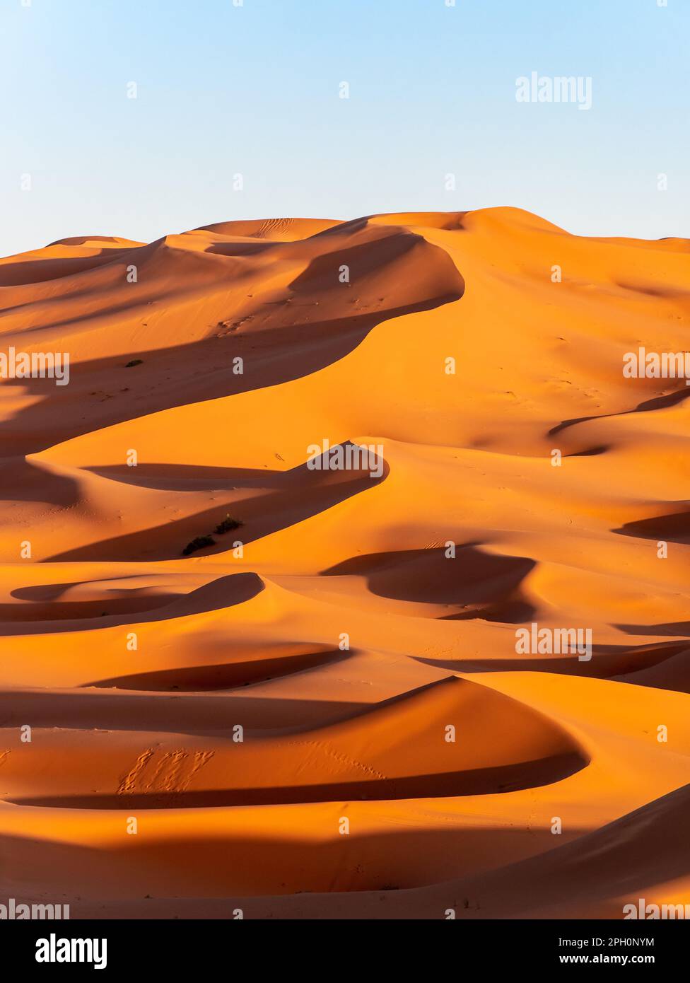 Splendide dune di sabbia vicino a Merzouga, Marocco durante il tramonto - Ritratto girato 3 Foto Stock