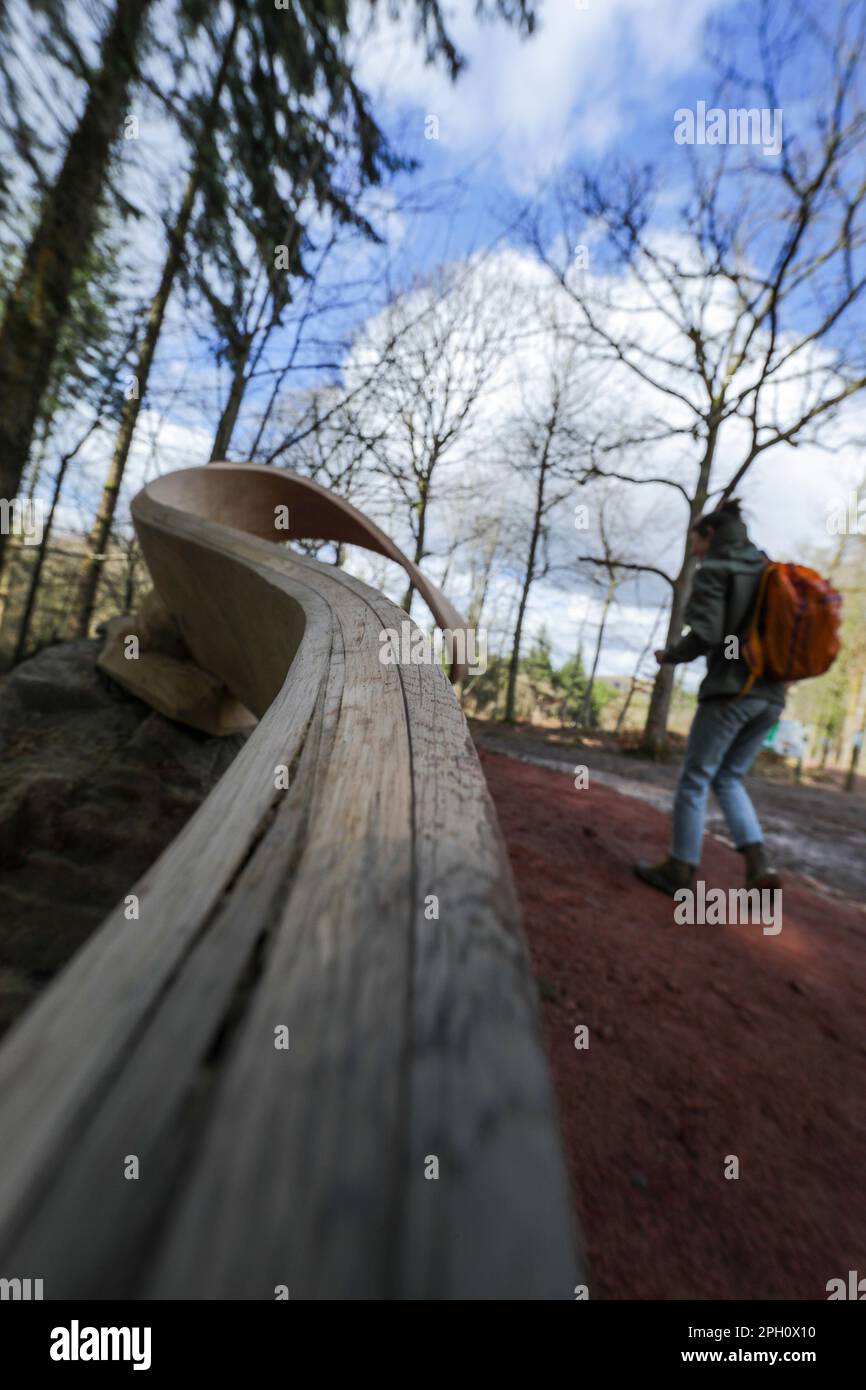 Meandro di Kristinma Veasey. Un nuovo lavoro permanente e luogo di riposo aggiunto alla Foresta di Dean Sculpture Trail in tempo per Pasqua. Foto Stock