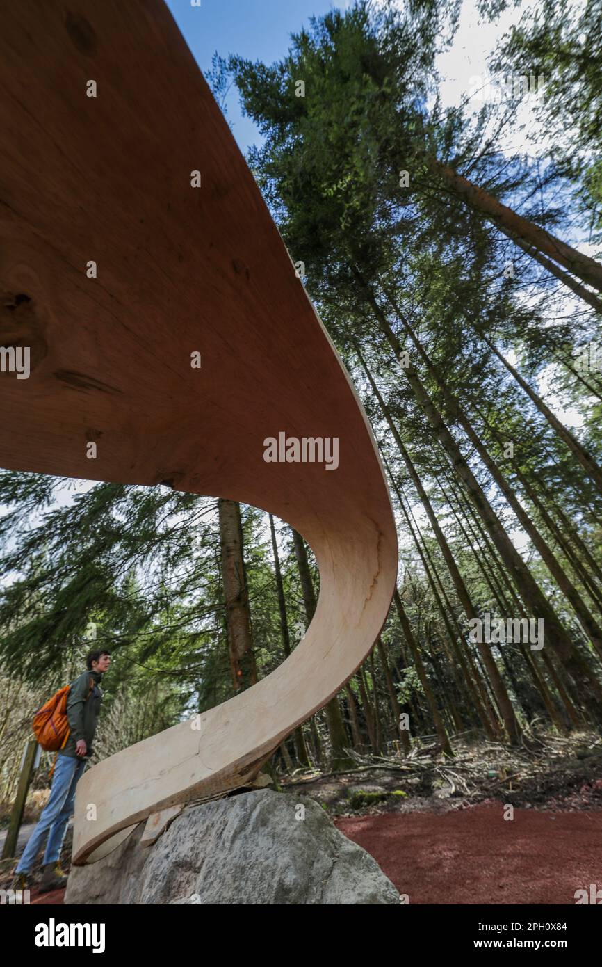 Meandro di Kristinma Veasey. Un nuovo lavoro permanente e luogo di riposo aggiunto alla Foresta di Dean Sculpture Trail in tempo per Pasqua. Foto Stock