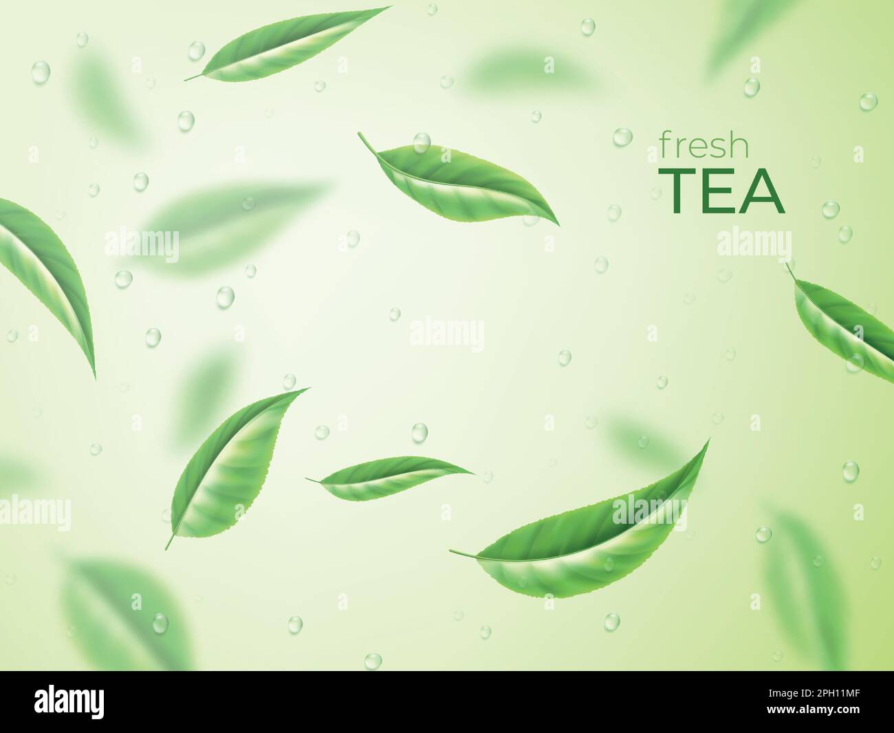 Foglia di tè alle erbe. Verde sfondo naturale con gocce d'acqua, acqua dolce bevanda, piante biologiche volanti. Foglie realistiche per la pubblicità sfondo design. Bio-ingrediente ecologico. Design isolato Vector 3D Illustrazione Vettoriale