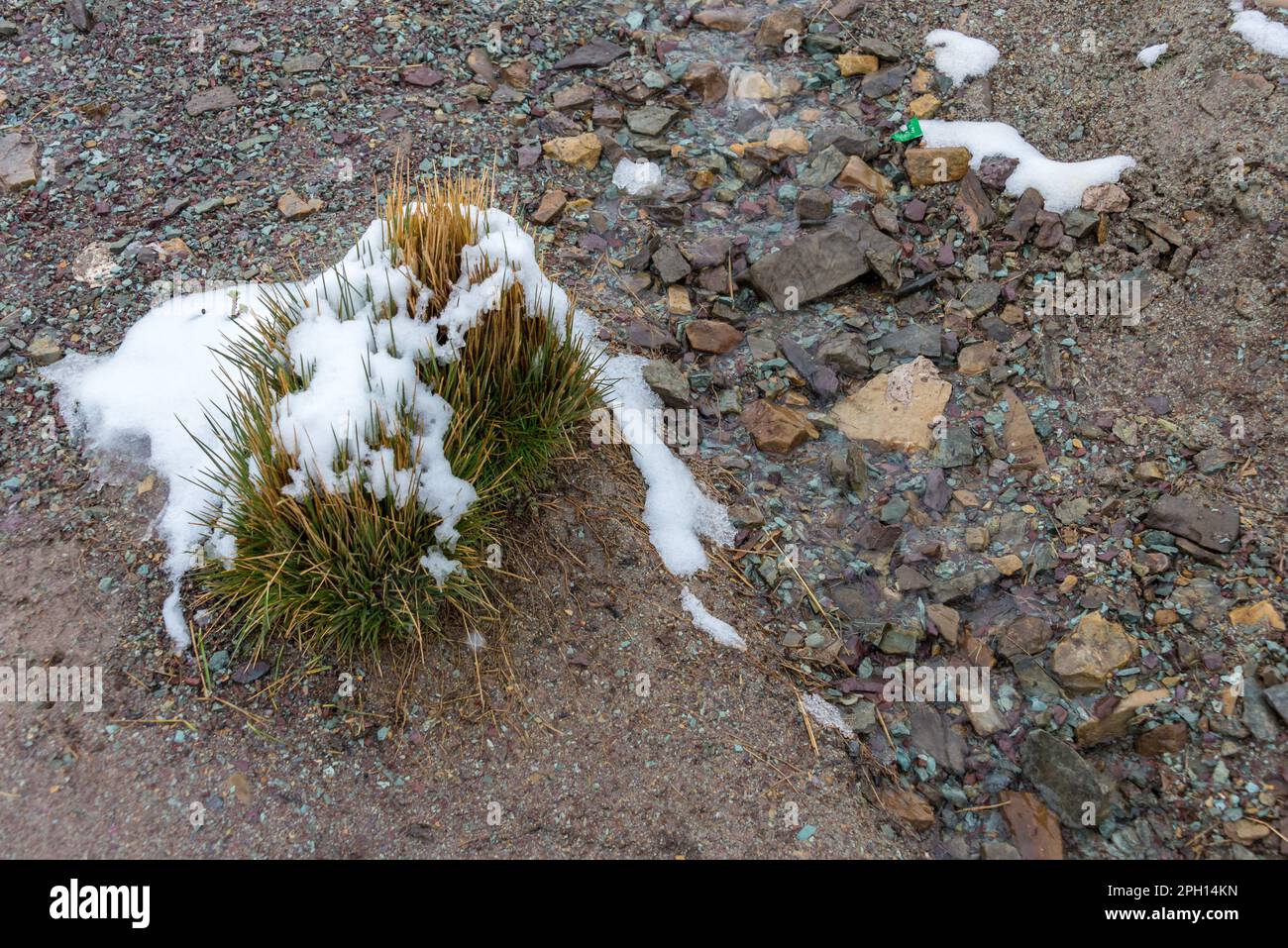 Pascoli e rocce coperte di neve sul sentiero per la montagna dei 7 colori, Perù Foto Stock