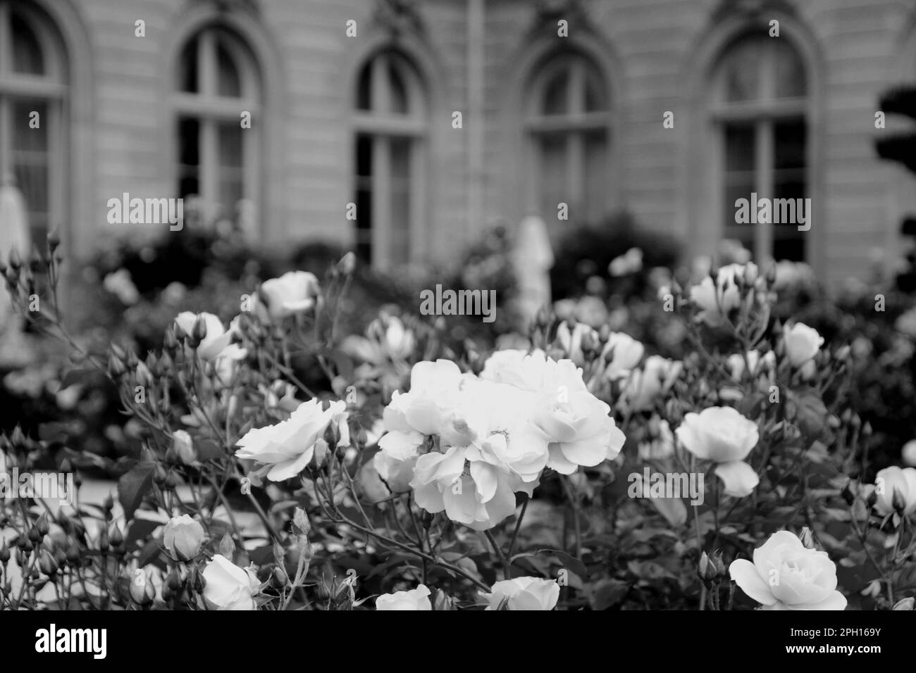 Il giardino del palazzo degli Elisi, residenza dei presidenti francesi, maggio 2014 31th Foto Stock