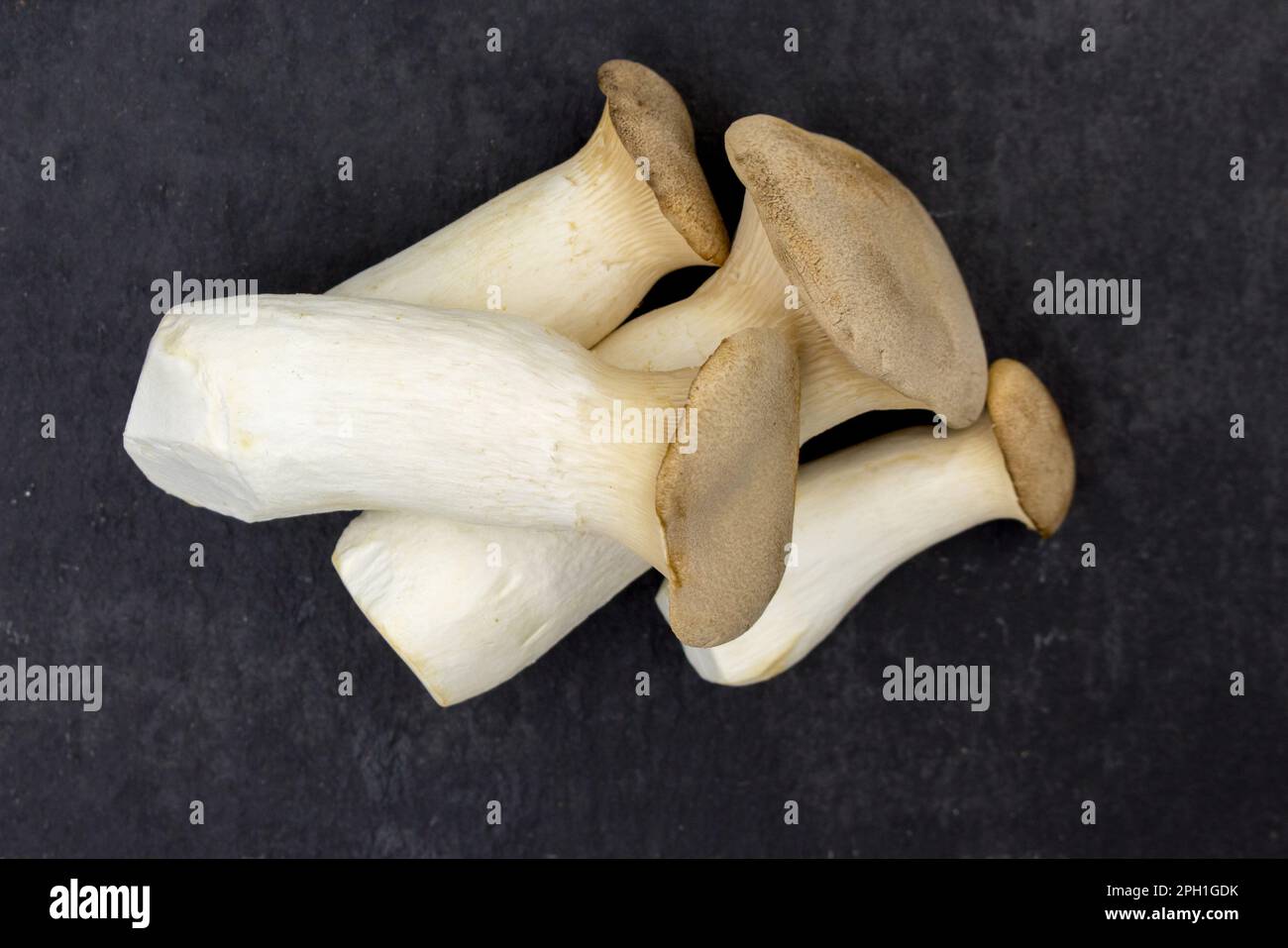 Funghi Pleurotus eryngii su fondo nero. I funghi interi crudi sono preparati per cucinare un piatto culinario. Foto Stock