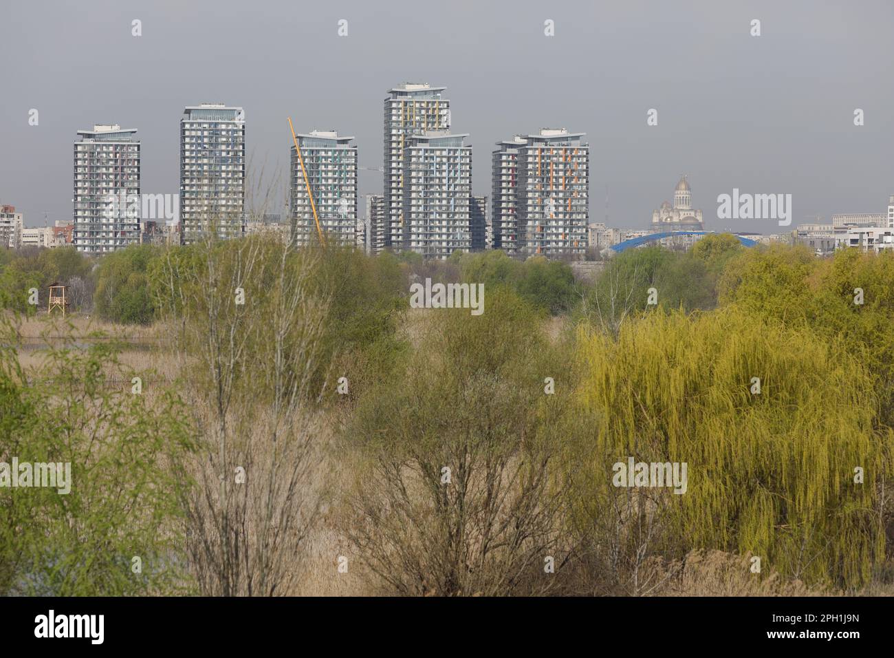 Bucarest, Romania - 25 Marzo, 2023: Parco naturale di Vacaresti a Bucarest, Romania con blocchi di appartamenti sullo sfondo. Foto Stock