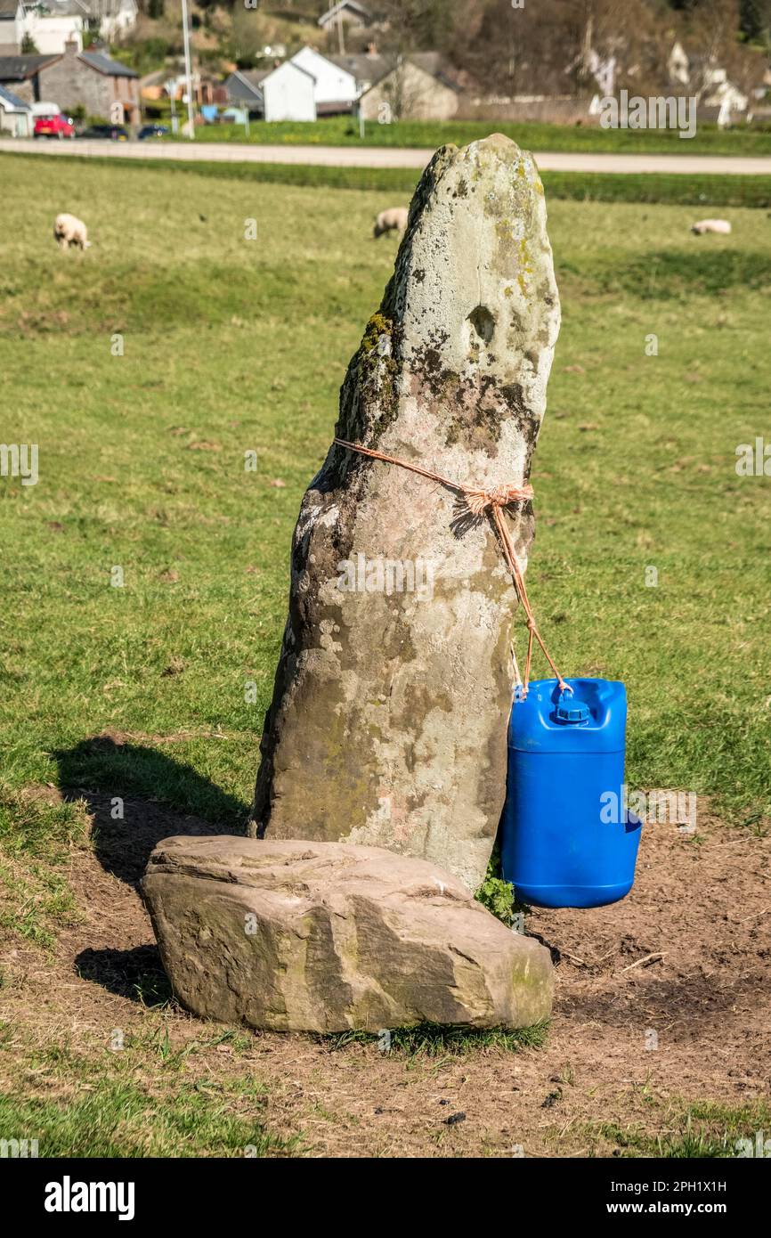 Pietra preistorica (menhir) a Bwlch, vicino Crickhowell, Powys, Galles, utilizzata dal contadino per appendere un leccino di sale per pecore. Circa 2m mm di altezza Foto Stock