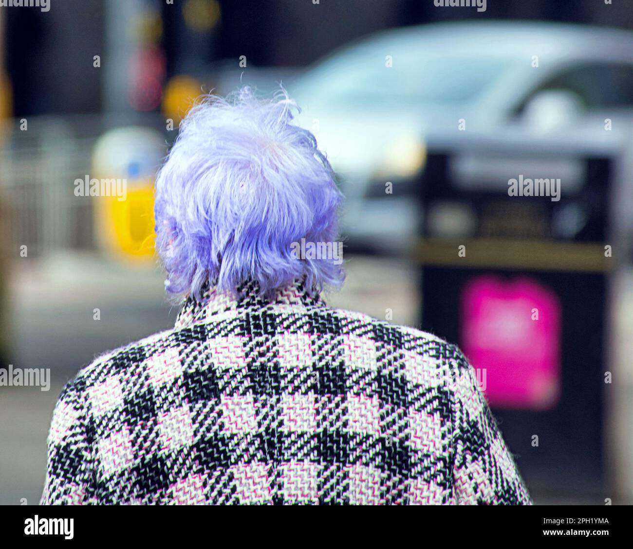 anziana signora con capelli di risciacquo blu da dietro Foto Stock