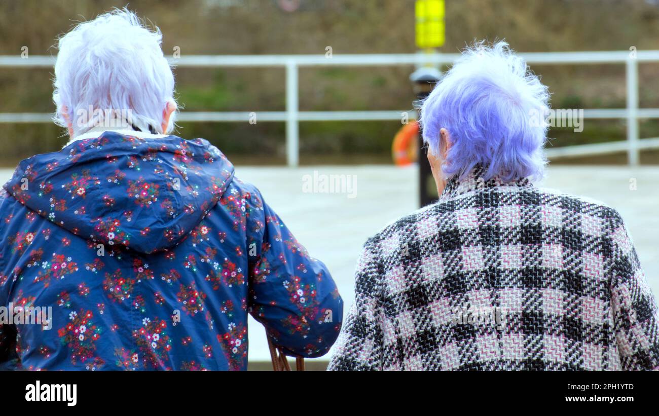 anziana signora con capelli di risciacquo blu da dietro Foto Stock