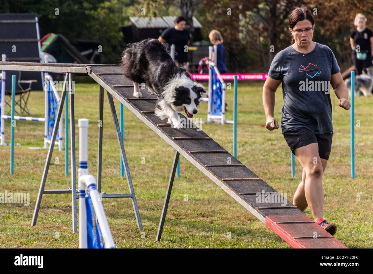 LYSA NAD LABEM, REPUBBLICA CECA - 26 SETTEMBRE 2021: Cane e un gestore che corre su cane cammina durante la competizione di agilità a Lysa nad Labem, Repub Ceca Foto Stock