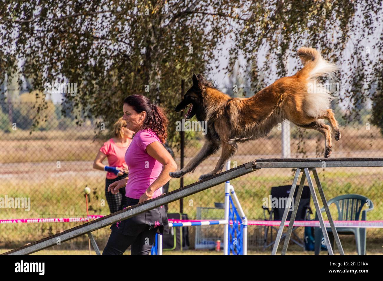 LYSA NAD LABEM, REPUBBLICA CECA - 26 SETTEMBRE 2021: Cane e un gestore che corre su cane cammina durante la competizione di agilità a Lysa nad Labem, Repub Ceca Foto Stock