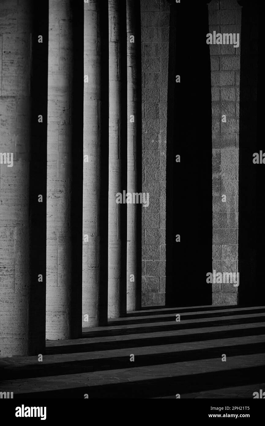 Un'immagine in bianco e nero di una linea di maestose colonne di pietra che si ergono alte in una posizione all'aperto Foto Stock