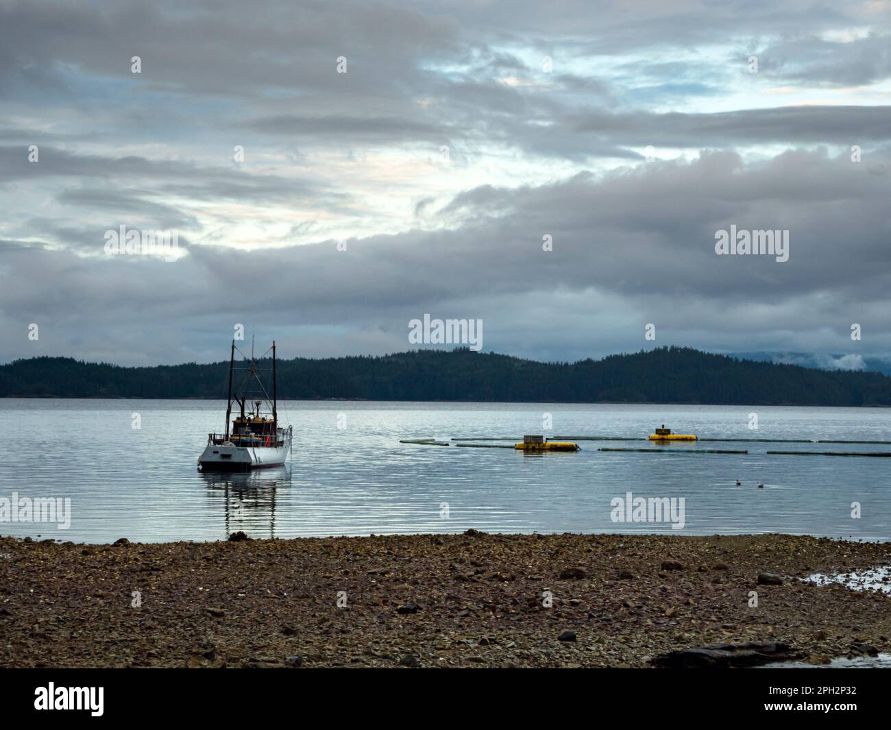 BC00735-00...BRITISH COLUMBIA - mattina presto a Saltry Bay situato sulla Sunshine Coast e all'estremità meridionale del Sunshine Coast Trail. Foto Stock