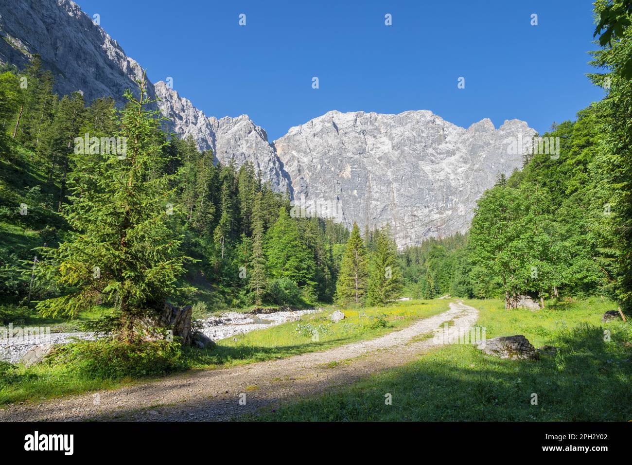 Le pareti nord dei monti Karwendel - le pareti di Grubenkar spitze dalla valle. Foto Stock