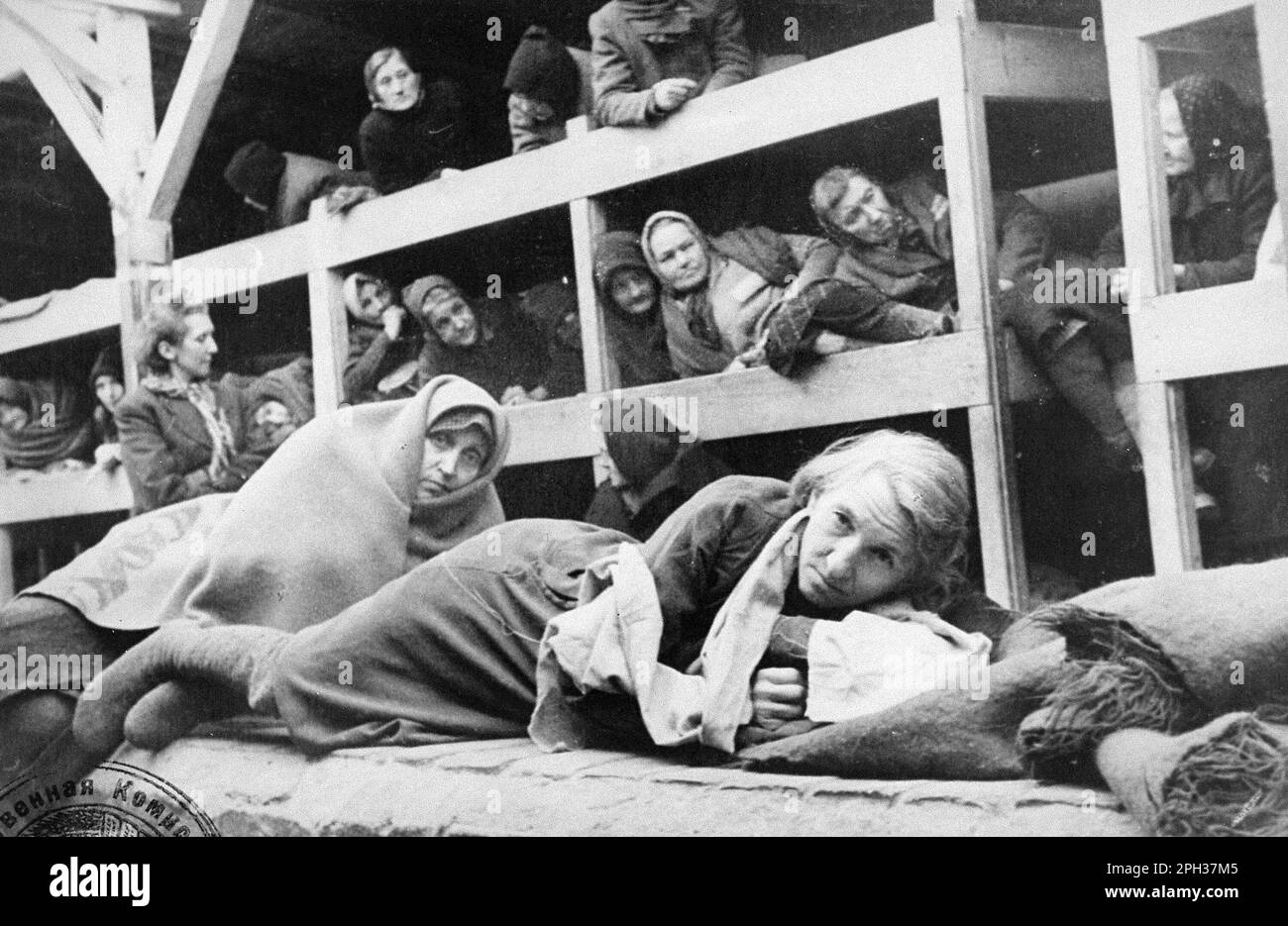 Donne nelle caserme del campo di concentramento di Auschwitz appena liberato. A sinistra, indossando una sciarpa, è raffigurata la Rivka Ruchle Chencinska (ginocchio). Foto Stock