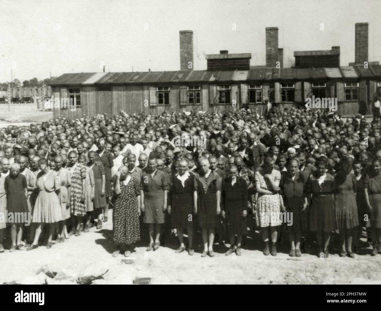 Appello dei prigionieri davanti all'edificio della cucina nel campo di concentramento di Auschwitz II. Foto Stock