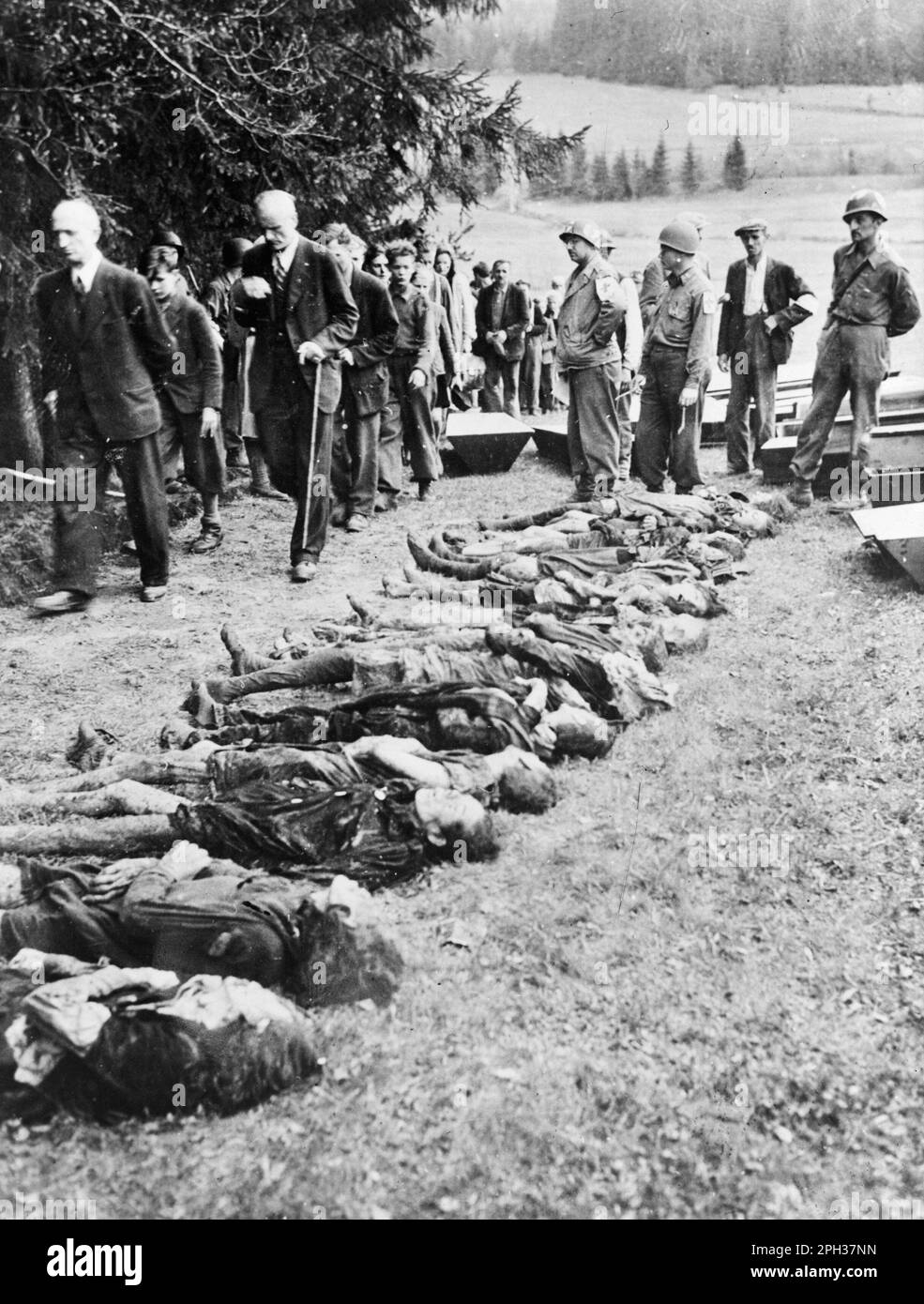 I cittadini tedeschi sono guidati oltre i cadaveri dei prigionieri del campo di concentramento. Foto Stock