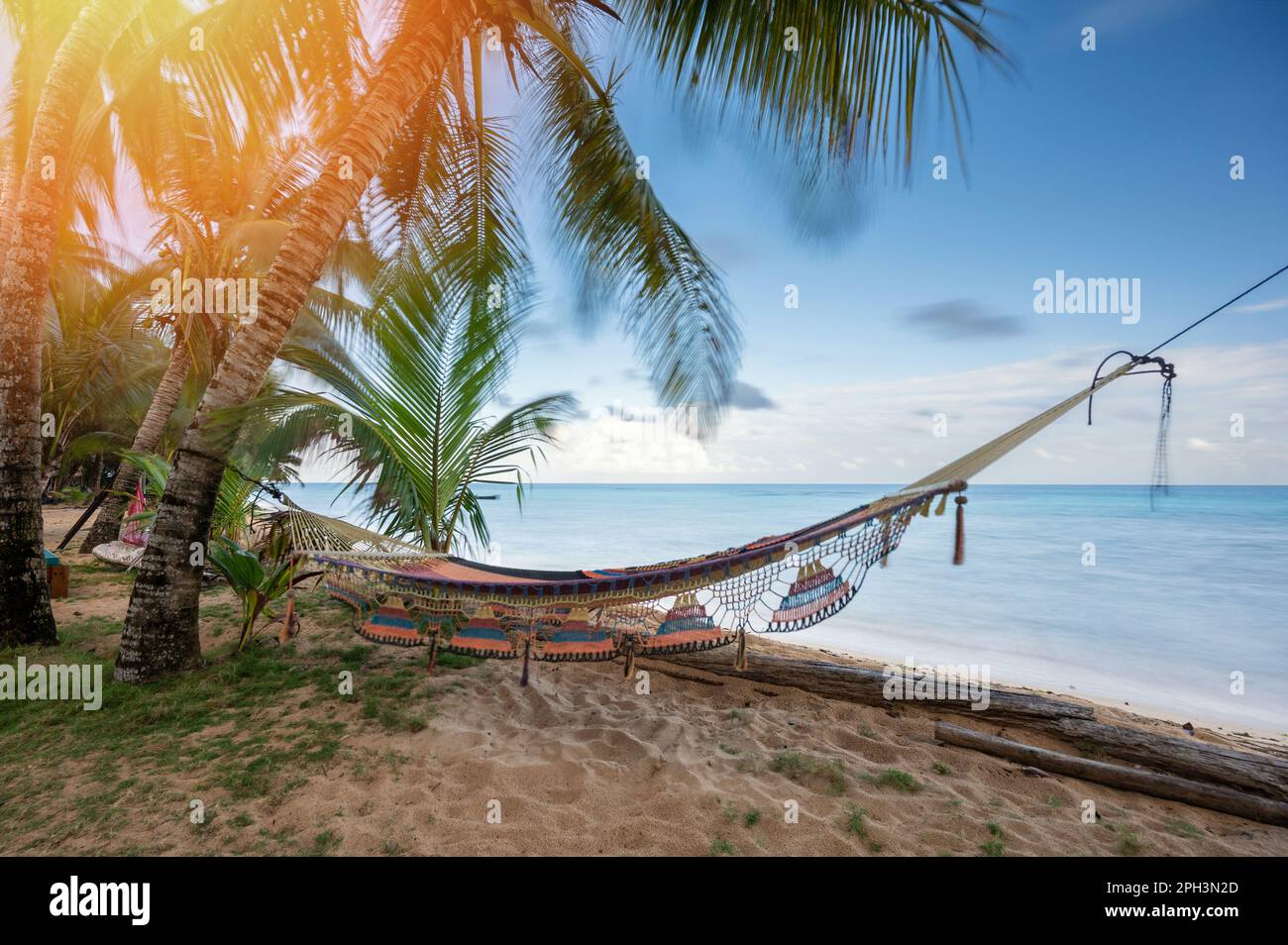 Amaca vuota tra palma su sfondo blu liscio Foto Stock