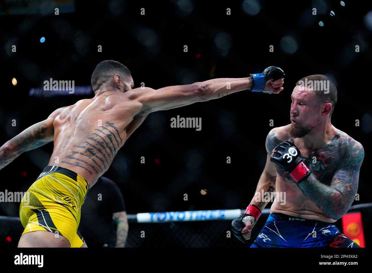 SAN ANTONIO, TEXAS - 25 MARZO: (L-R) Lucas Alexander prende il pugno a Steven Peterson nella loro lotta con i pesi Featherweight durante l'evento UFC Fight Night presso L'AT&T Center il 25 marzo 2023 a San Antonio, Texas, USA. (Foto di Louis Grasse/PxImages) Foto Stock