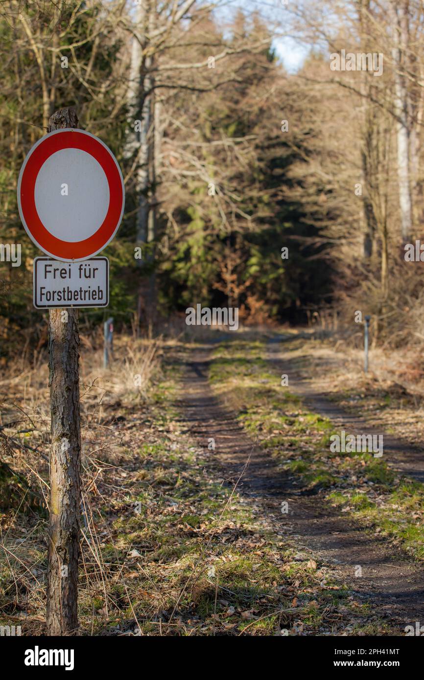 Guida su strade forestali vietata No attraverso il traffico Foto Stock