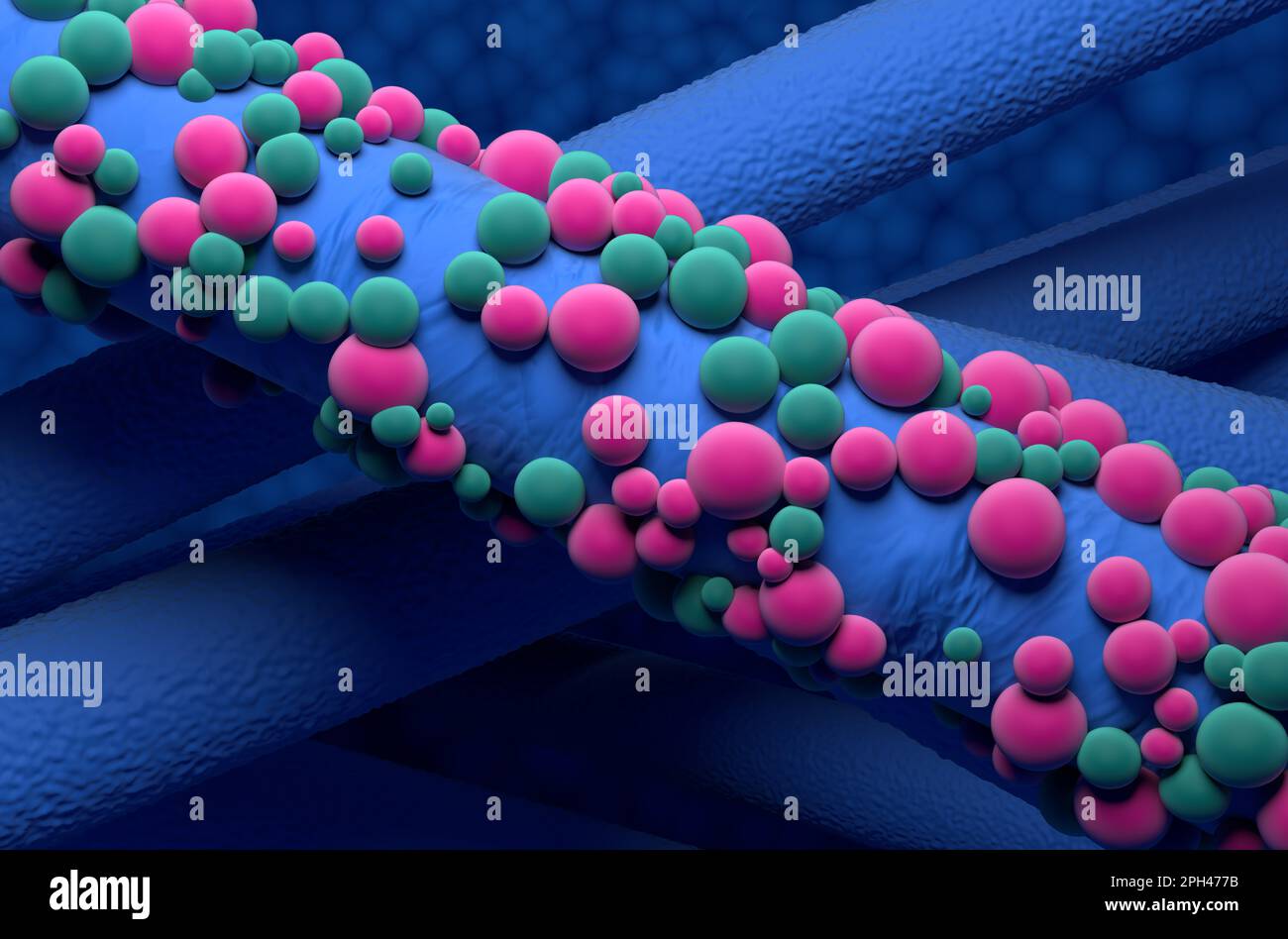 I nervi danneggiati ricrescono con il tubo polimerico e la proteina - 3D illustrazione vista isometrica Foto Stock