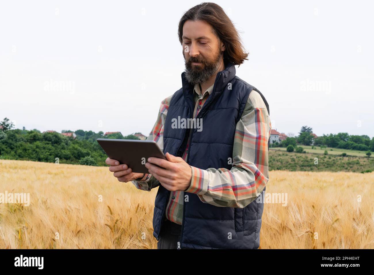 Farmer esamina il campo dei cereali e invia i dati alla nuvola dalla tavoletta. Agricoltura intelligente e agricoltura digitale. Foto di alta qualità Foto Stock