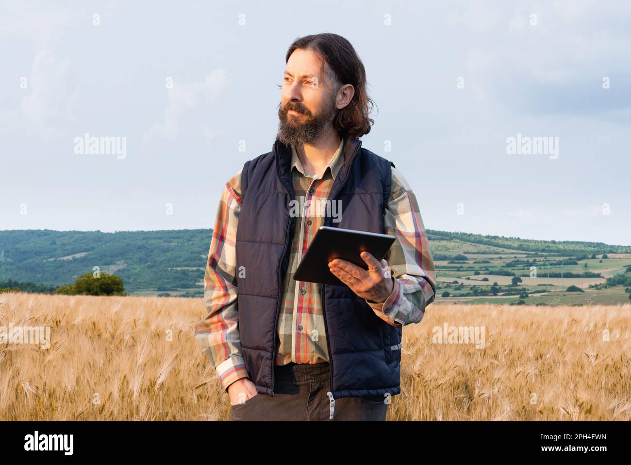 Farmer esamina il campo dei cereali e invia i dati alla nuvola dalla tavoletta. Agricoltura intelligente e agricoltura digitale. Foto di alta qualità Foto Stock