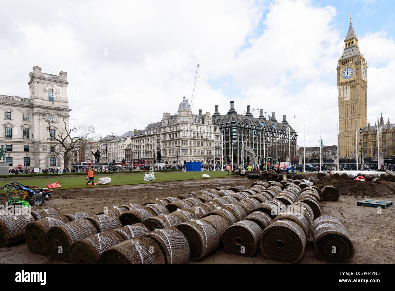 La Piazza del Parlamento di Londra, di fronte al Big ben e alle Houses of Parliament, è stata posata con nuova erba in una riparazione importante a seguito di un danno durante la Heatwa Foto Stock