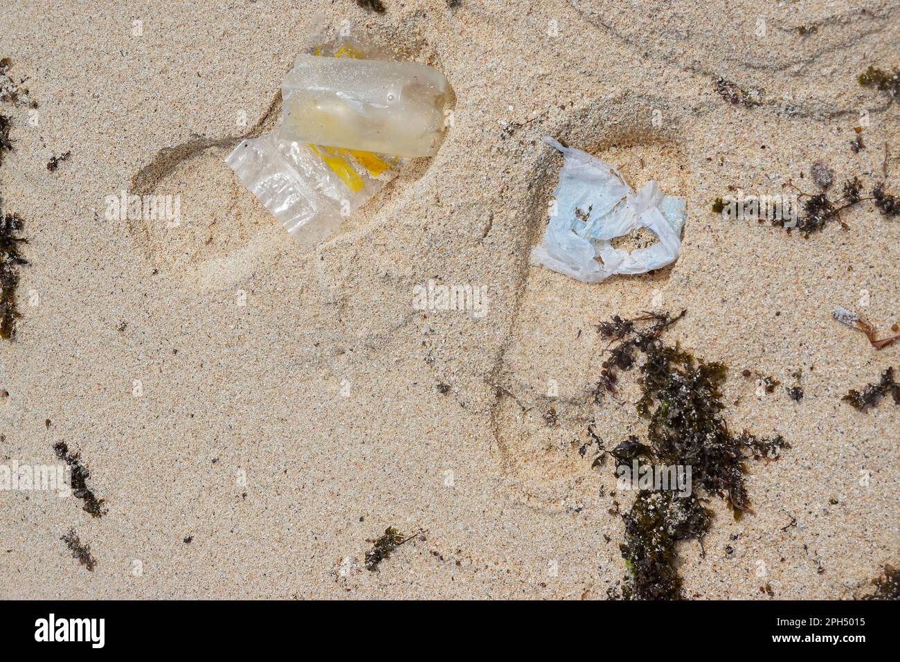 Ingombro, ingombro umano con rifiuti in plastica Foto Stock