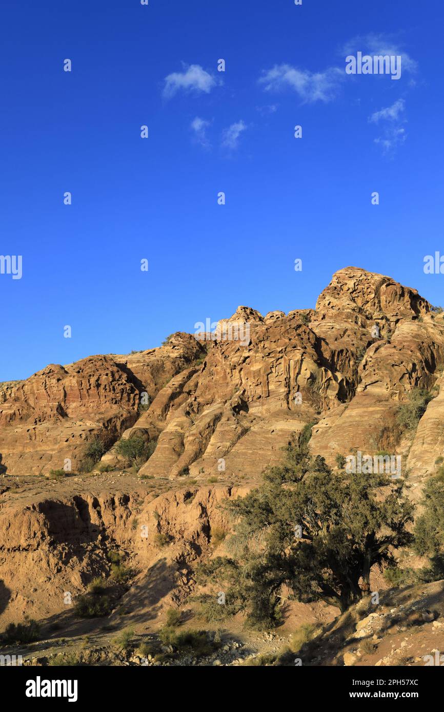 Il paesaggio della valle di Shkaret Mseid, Wadi Musa, Giordania centro-meridionale, Medio Oriente Foto Stock