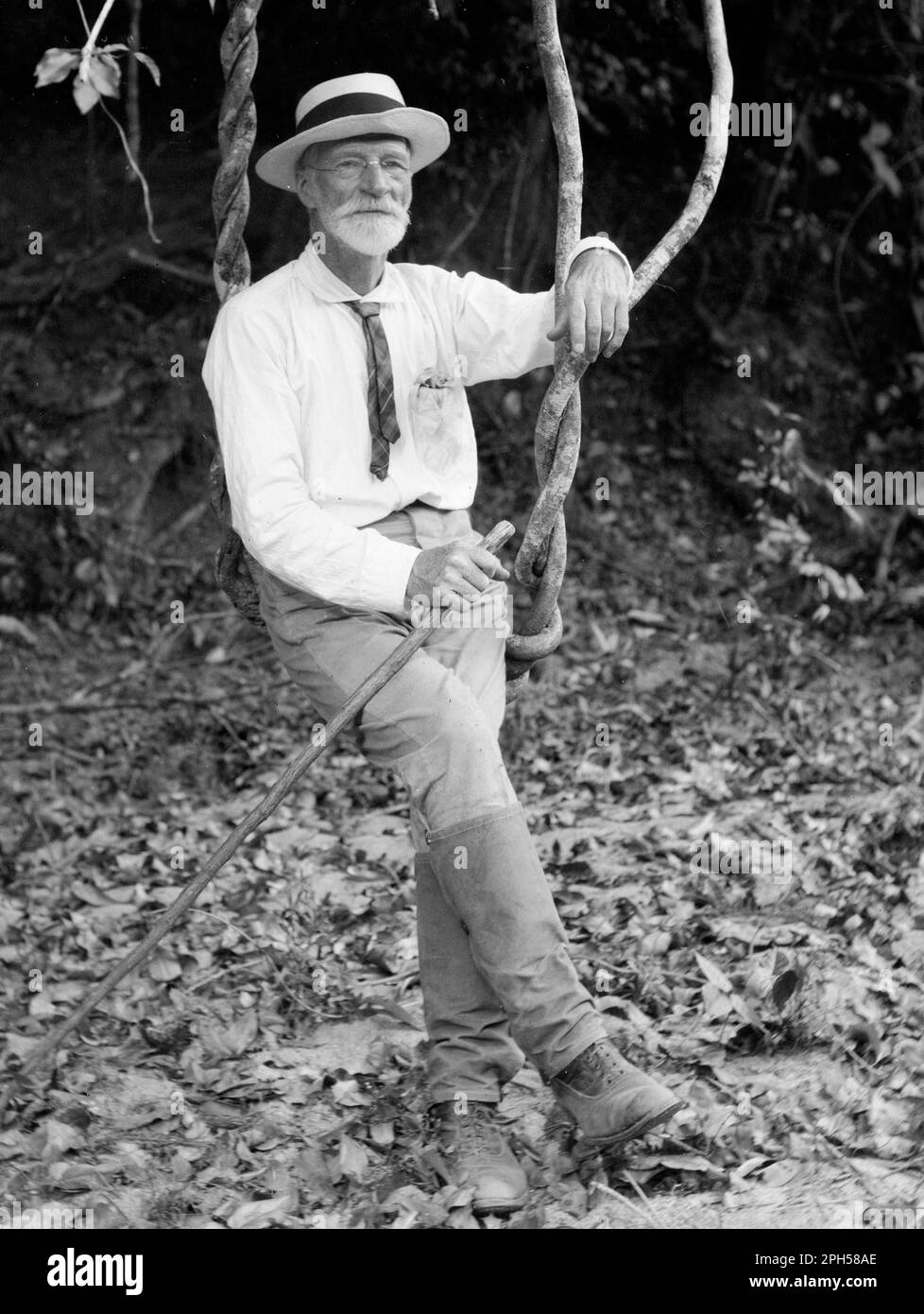Ritratto di Archibald James Campbell 1916 di Archibald James Campbell Foto Stock