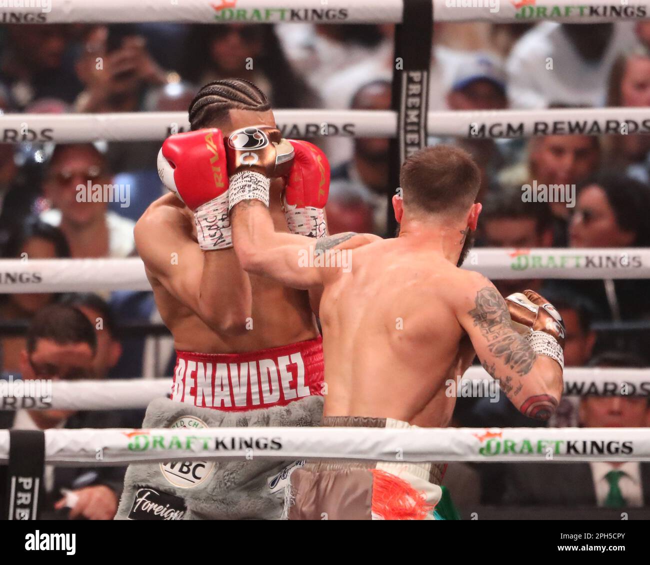 LAS VEGAS, NV - MARZO 25: (R-L) Caleb Plant punisce David Benavidez nel loro Interim WBC World Super Middleweight Title Bout alla MGM Grand Garden Arena il 25 Marzo 2023 a Las Vegas, NV, Stati Uniti. (Foto di Alejandro Salazar/PxImages) Foto Stock