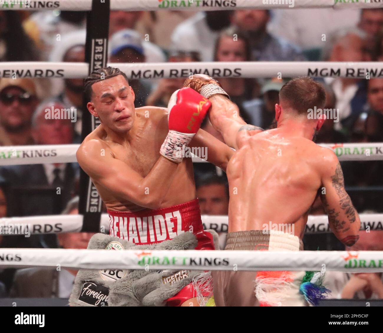 LAS VEGAS, NV - MARZO 25: (R-L) Caleb Plant punisce David Benavidez nel loro Interim WBC World Super Middleweight Title Bout alla MGM Grand Garden Arena il 25 Marzo 2023 a Las Vegas, NV, Stati Uniti. (Foto di Alejandro Salazar/PxImages) Foto Stock