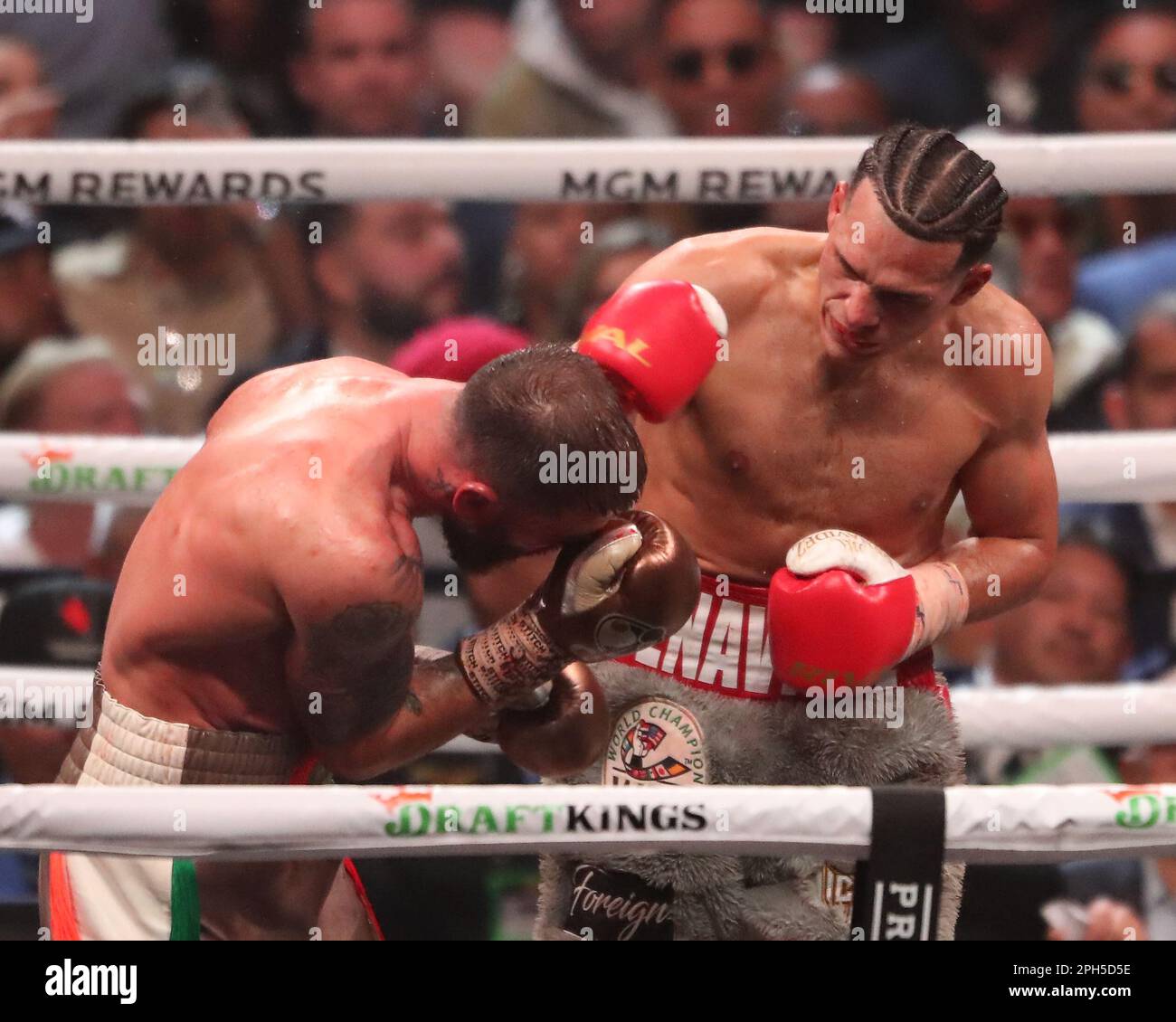 LAS VEGAS, NV - MARZO 25: (R-L) David Benavidez prende a pugni l'impianto di Caleb nel loro Interim WBC World Super Middleweight Title Bout alla MGM Grand Garden Arena il 25 Marzo 2023 a Las Vegas, NV, Stati Uniti. (Foto di Alejandro Salazar/PxImages) Foto Stock