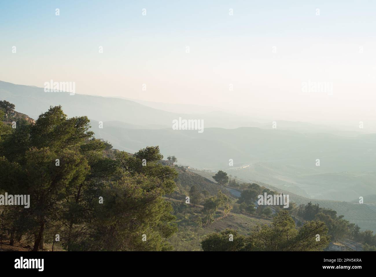 orizzonte foggy con montagne lontane e scogliera piena di pini Foto Stock