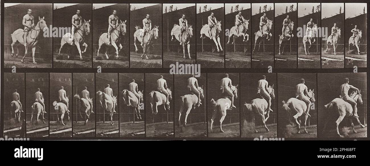 Locomozione animale, piastra 646 1887 di Eadweard Muybridge Foto Stock