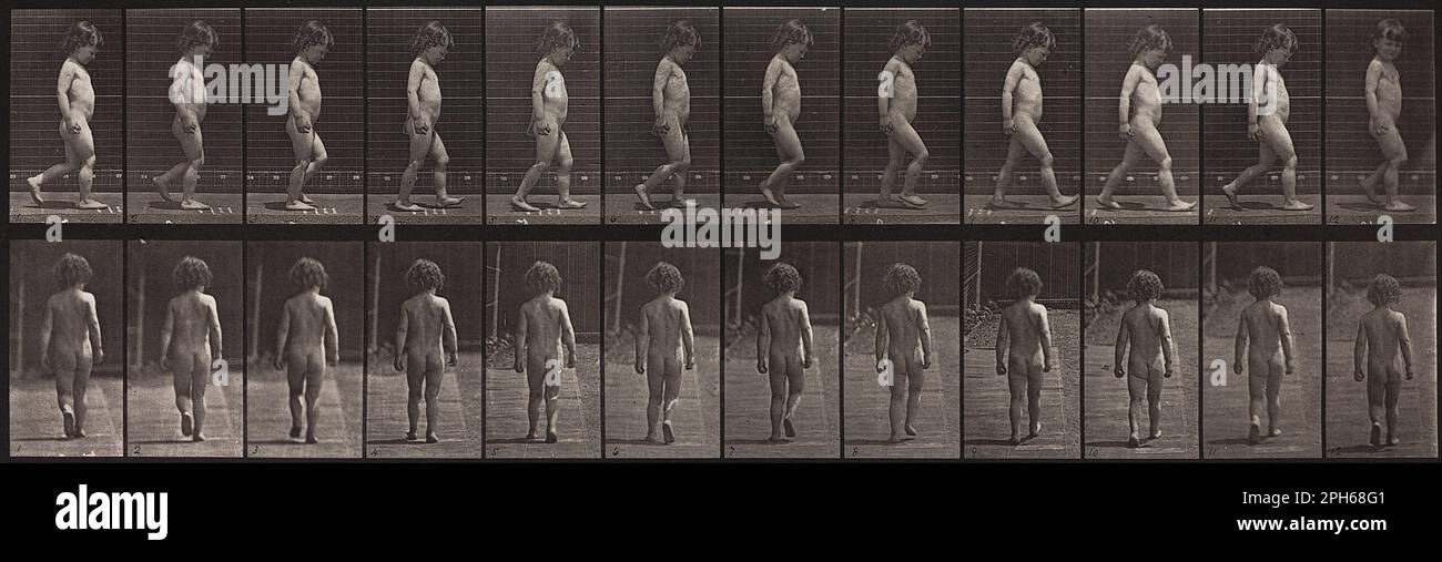 Locomozione animale, piastra 467 1887 di Eadweard Muybridge Foto Stock