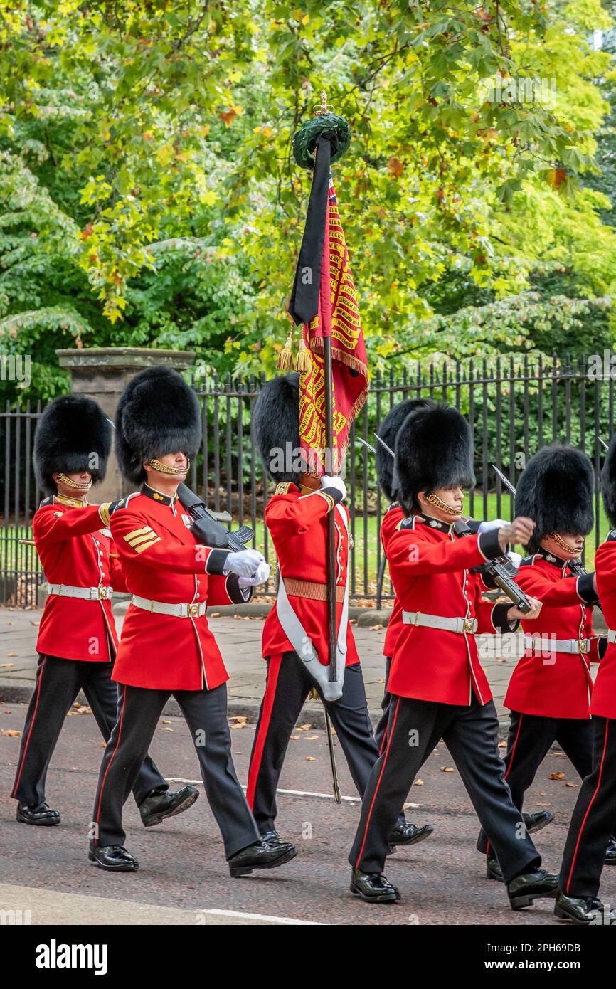 Grenadier Guards Colour Party visto durante la processione per lo Stato sdraiato della Regina Elisabetta II, Birdcage Walk, Londra, Regno Unito Foto Stock