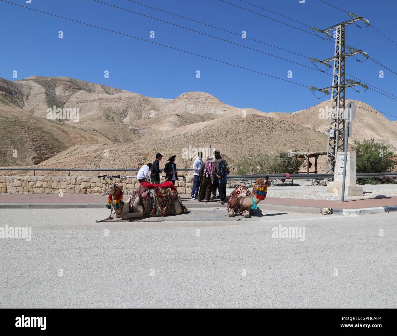 Possibilità di scattare foto con cammelli in un cartello che indica il livello del mare in una zona turistica di sosta sulla Route 1 tra Gerusalemme e il Mar Morto Foto Stock