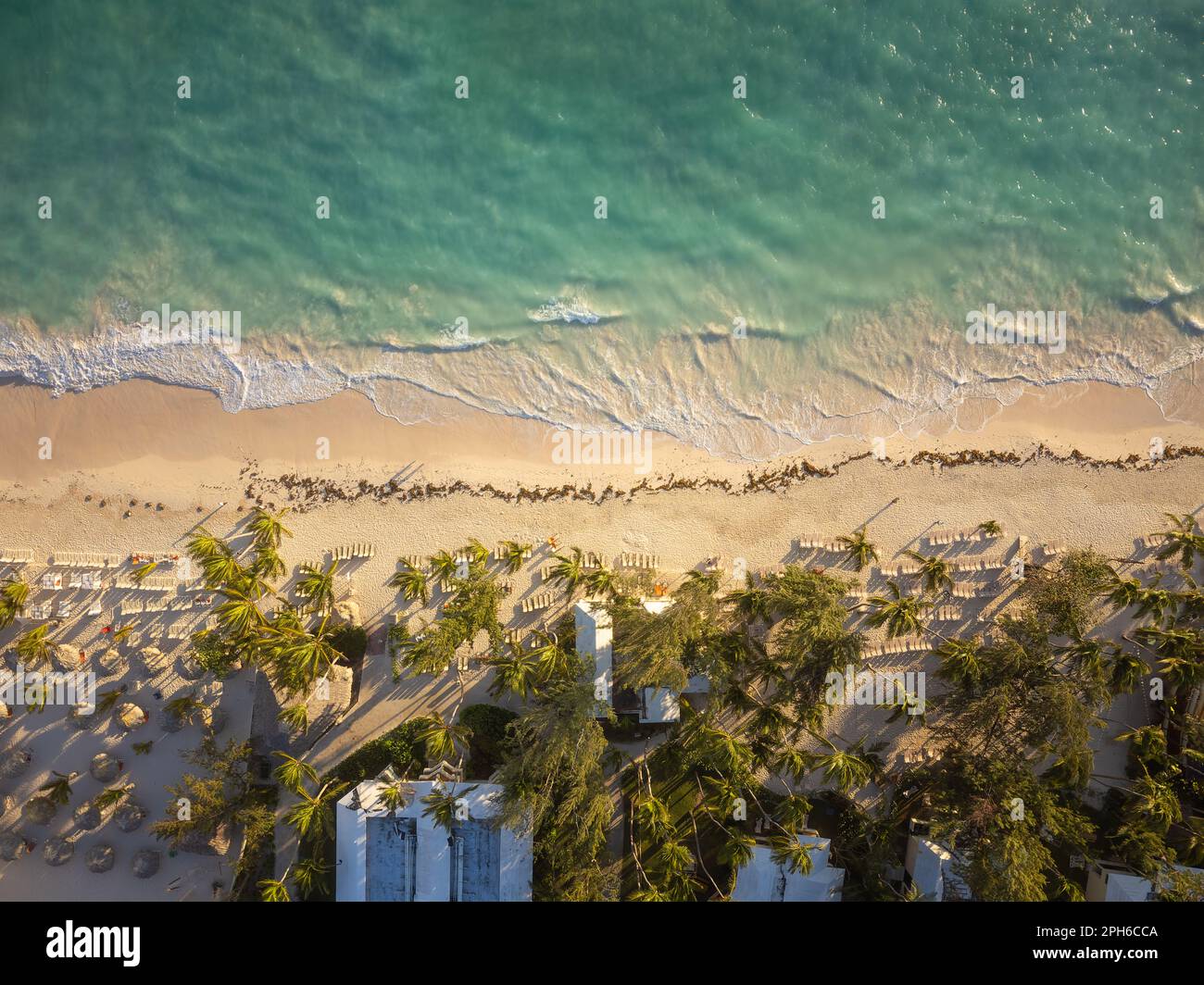 Hotel sul mare. Vista dall'alto. Palme, ombrelloni, lettini sulla spiaggia di sabbia sono in attesa per i vacanzieri. Mare caldo e dolce. Paradiso plac Foto Stock