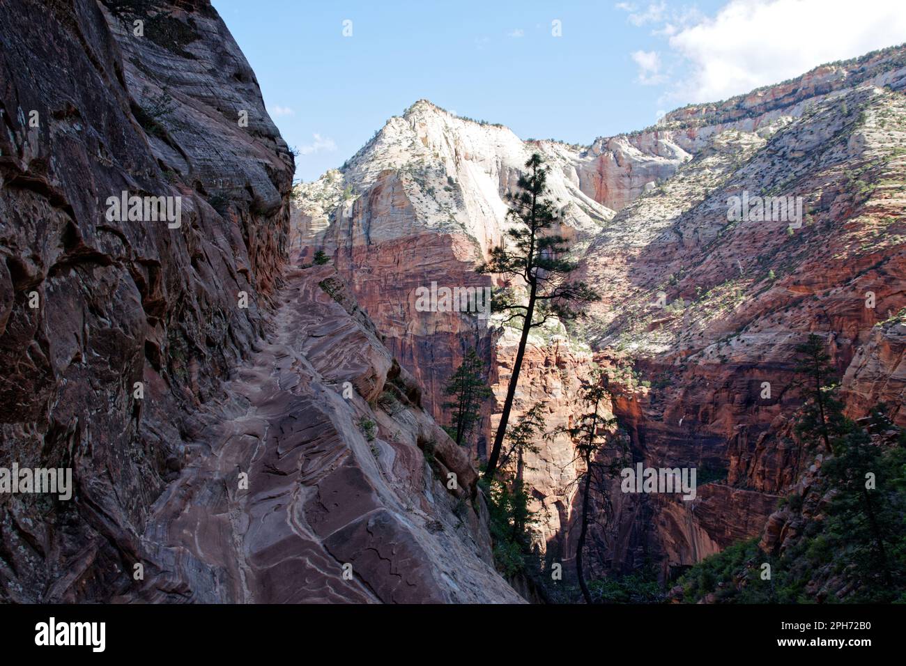 Un sentiero stretto che conduce all'Hidden Canyon nello Zion National Park, Utah, USA Foto Stock