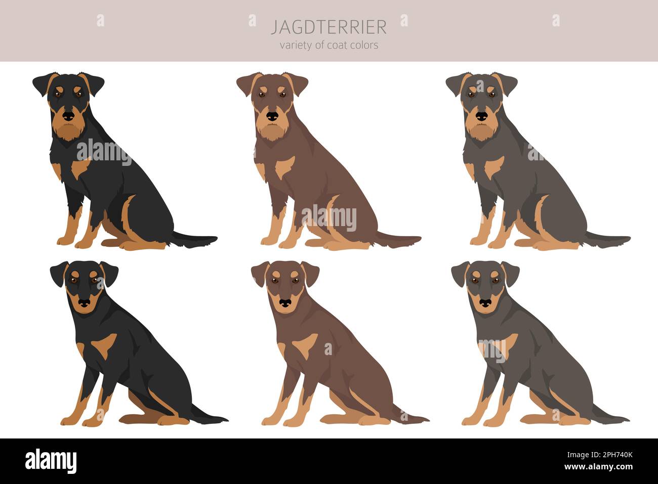 Jagdterrier Clipart. Pose diverse, colori del cappotto impostati. Illustrazione vettoriale Illustrazione Vettoriale