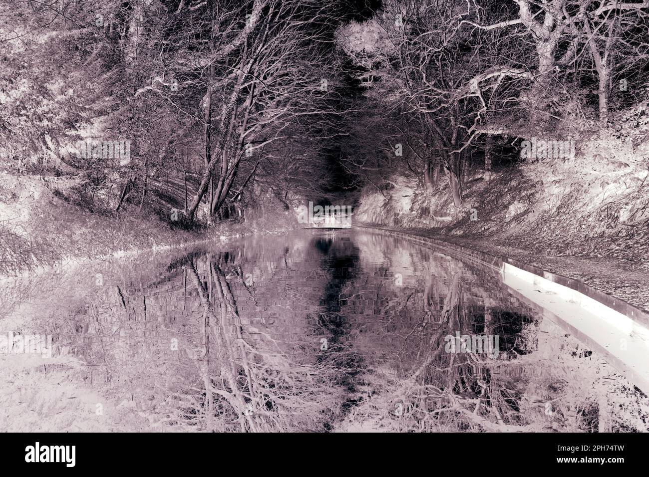 Immagine astratta di un canale con alberi che si riflettono nell'acqua. Bloccare il cancello in background. Immagine negativa con tonalità di colore Foto Stock