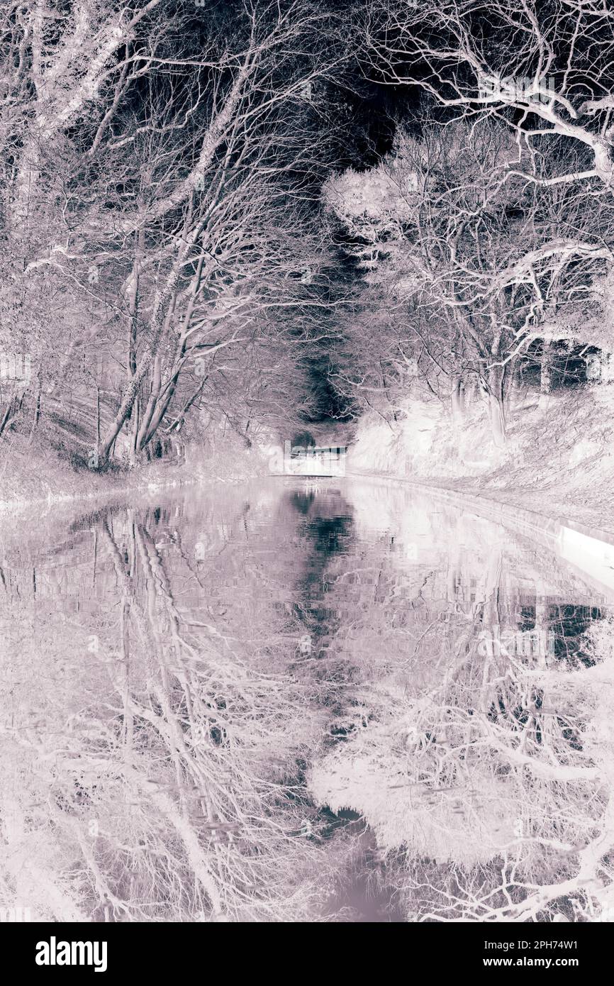 Immagine astratta di un canale con alberi che si riflettono nell'acqua. Bloccare il cancello in background. Immagine negativa con tonalità di colore Foto Stock