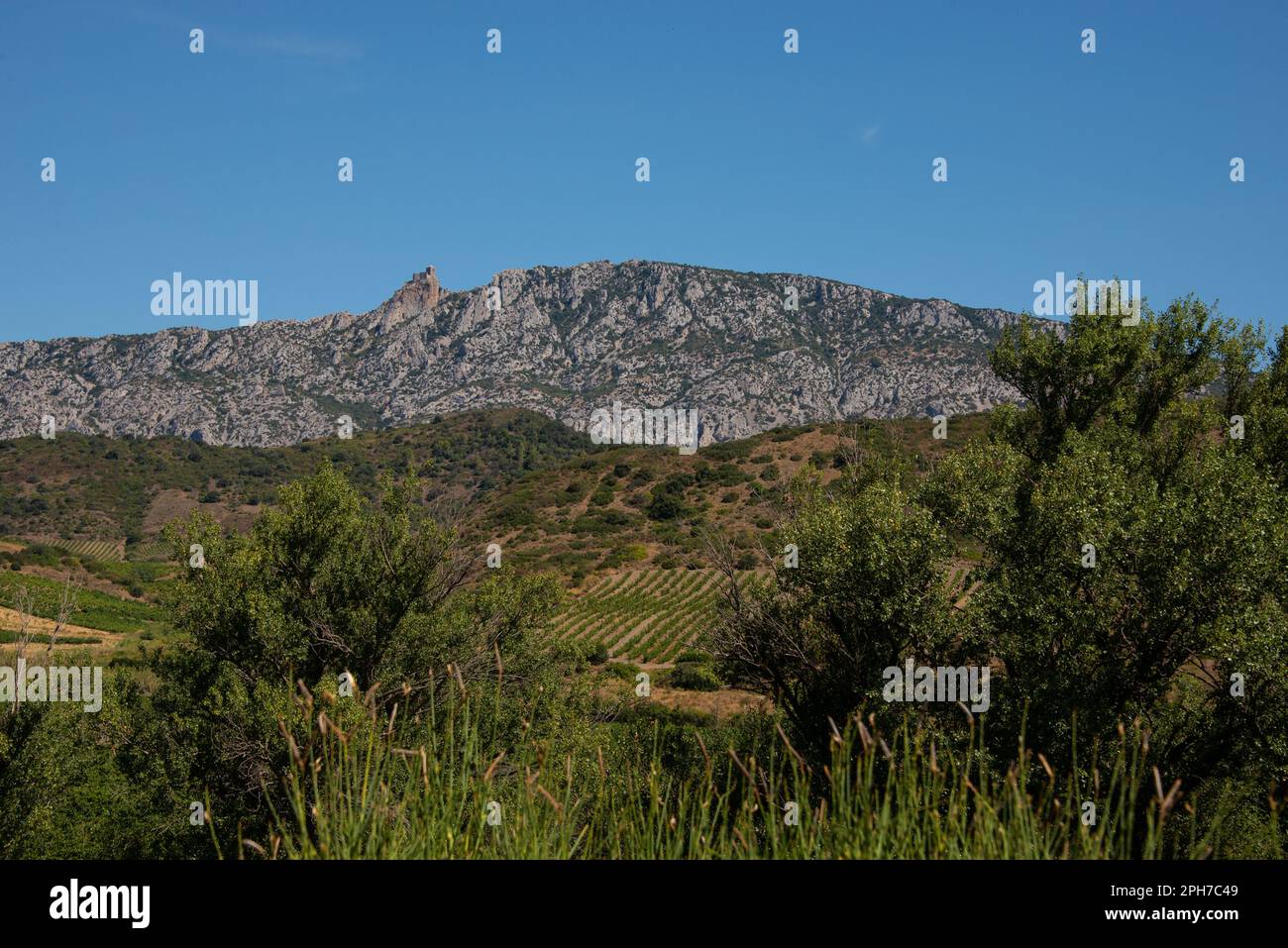 Il castello di Quéribus, uno dei castelli catari del sud della Francia, è stato costruito in una posizione strategica su un ridgeline nei Pirenei Foto Stock