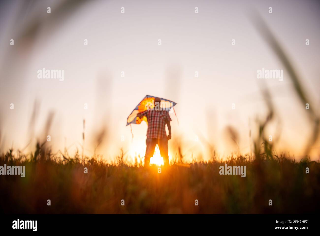 Calvo disfocato con occhiali con aquilone nel campo del sole del tramonto. Il Padre gioca con i bambini nelle aree rurali. Vista attraverso le orecchie del mead Foto Stock