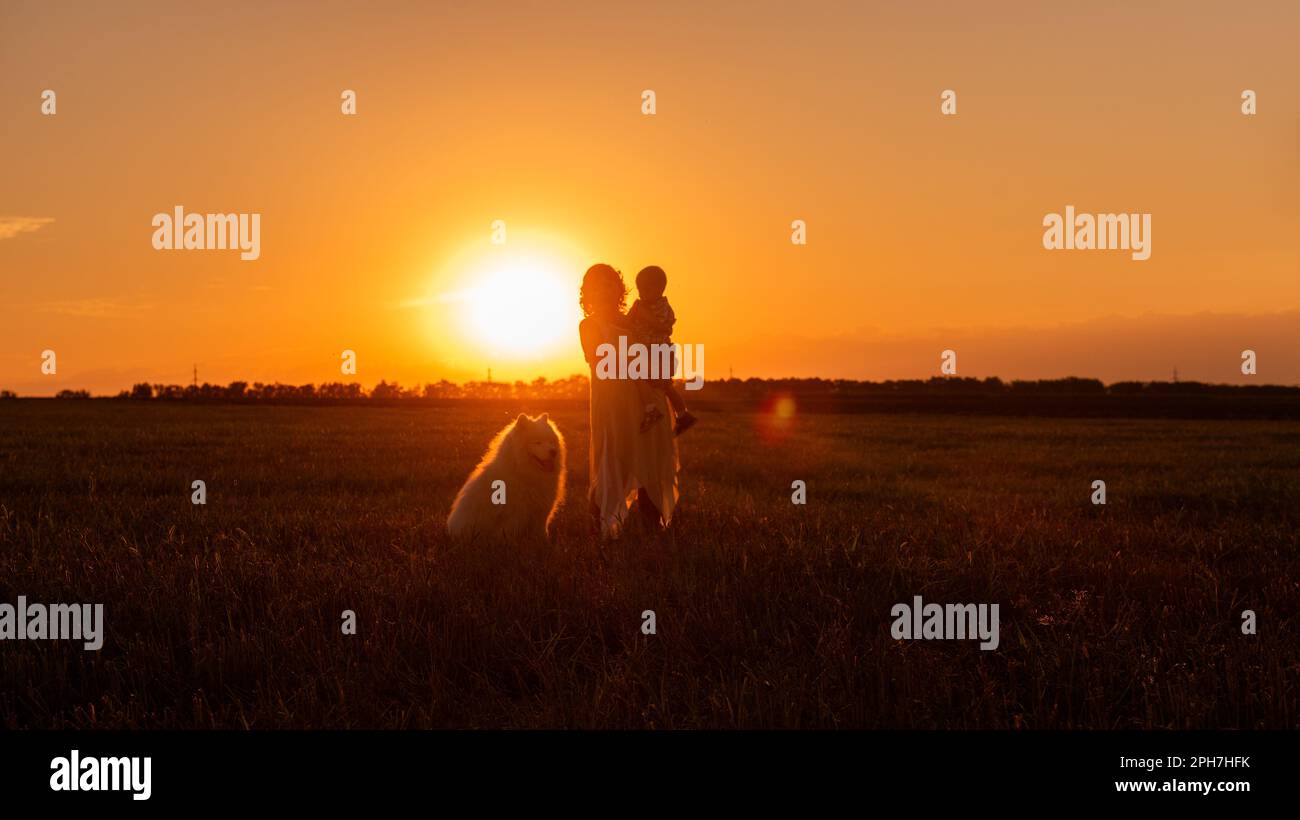 La silhouette delle madri con il figlio in braccio e Samoyed al tramonto sul campo. Sfondo naturale arancione. Vista panoramica. In viaggio con bambini, animali domestici Foto Stock