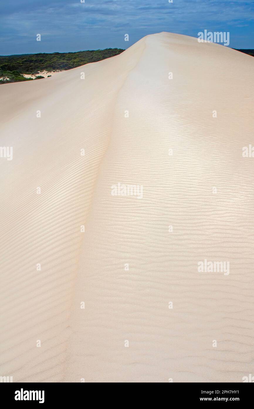 Dune di sabbia a Little Sahara, Kangaroo Island Foto Stock
